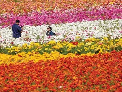 “백신 맞았다면 떠나세요” 여행업계 신바람