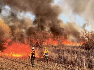 일찍 찾아온 봄에 들불 활활… 위스콘신주‘ 비상사태’
