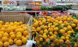 〈한인마트 정보〉 “봄 향기 물씬 제철식품 세일”