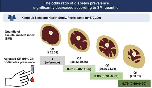 체내 근육량이 많을수록 당뇨병 발생 위험이 줄어든다는 연구 결과가 나왔다. 외부 요소를 모두 동일하다는 가정으로 봤을때도 근육량이 가장 적은 Q1 그룹에 비하여 근육량이 가장 많은 Q4 그룹의 당뇨 발생 유병률이 79%로 21% 줄었다.  [강북삼성병원 제공. 재판매 및 DB 금지]