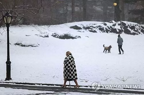 폭설 내린 뉴욕[AFP=연합뉴스 자료사진. 재판매 및 DB 금지]