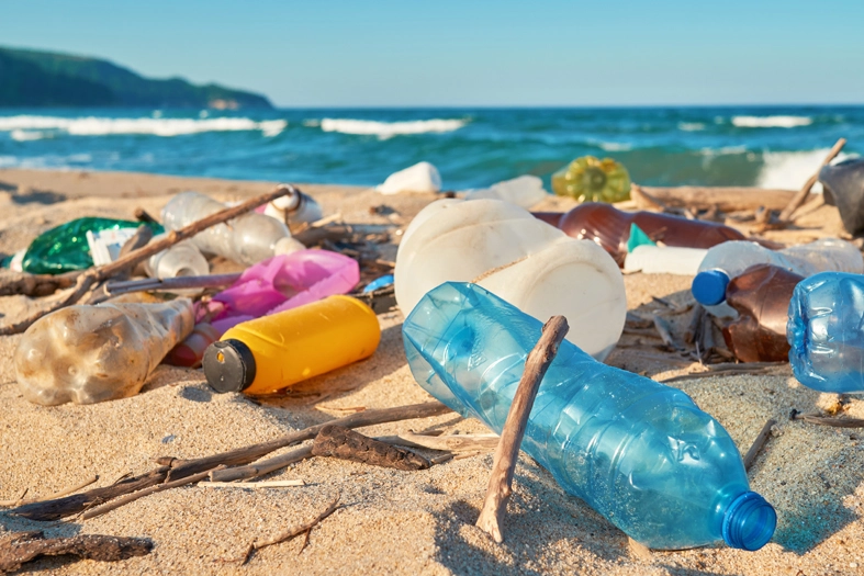 해안가에 쌓인 플라스틱 생수병<Shutterstock>