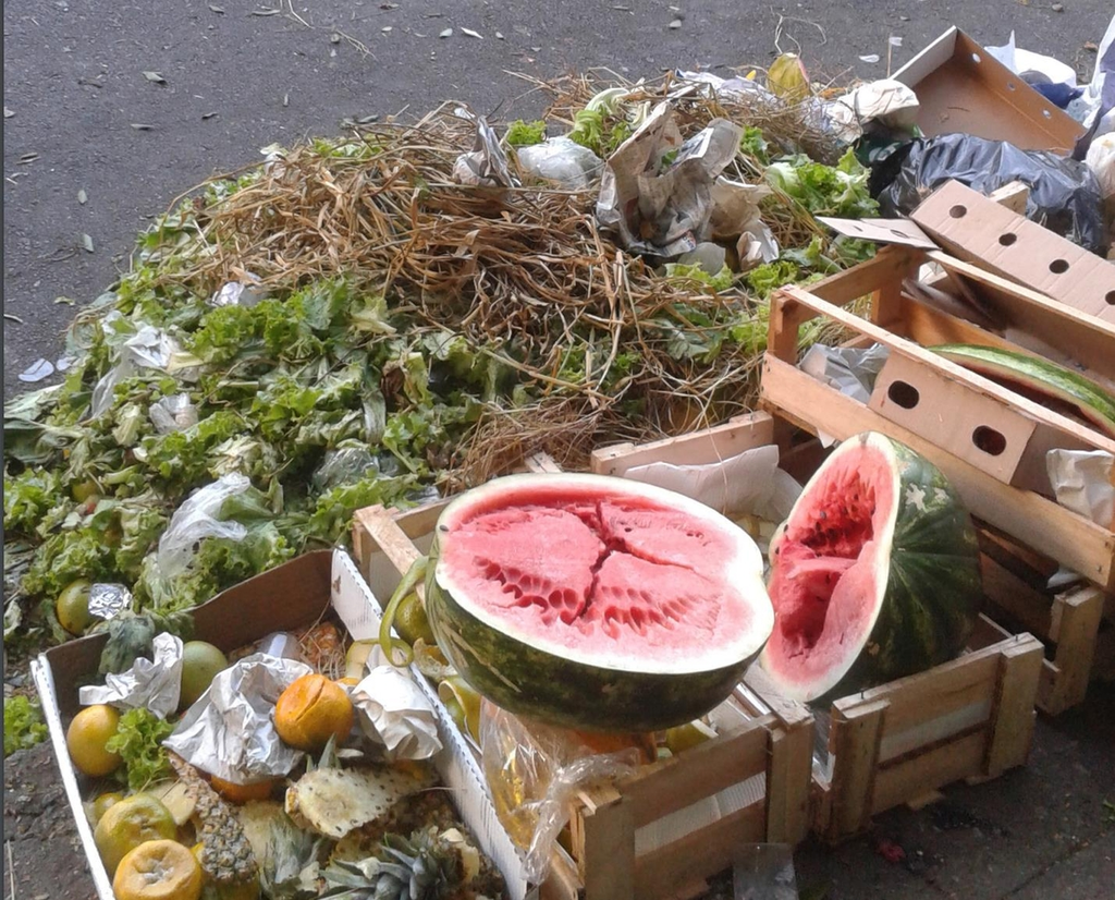 버려지는 음식물
[유엔환경계획(UNEP) 사진 제공. 재판매 및 DB 금지]