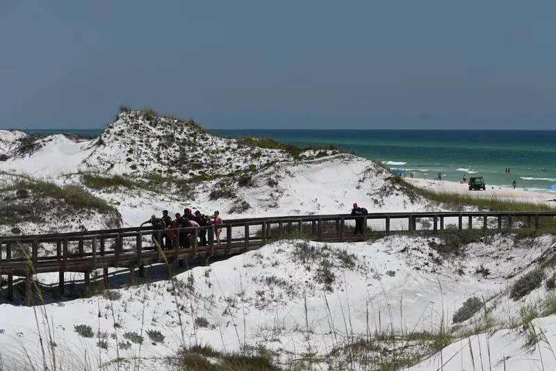 Shark attacks in Florida panhandle<사진=WSBTV>