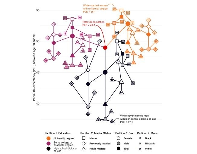 성별·결혼·교육·인종에 따른 그룹별 부분 기대수명성별·결혼·교육·인종에 따라 나눈 54개 그룹의 부분 기대수명은 최대 18년 차이가 나는 것으로 나타났다. 부분 기대수명이 가장 짧은 고졸 이하, 미혼, 백인, 남성은 37.1년이었고 가장 긴 대졸 이상, 백인, 기혼, 여성은 55.1년이었다. [BMJ Open/Marie-Pier Bergeron-Boucher et al. 제공. 재판매 및 DB 금지]