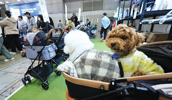  한국의 애완동물 페어에서 판매되고 있는 반려동물용 유모차 모습. [연합]