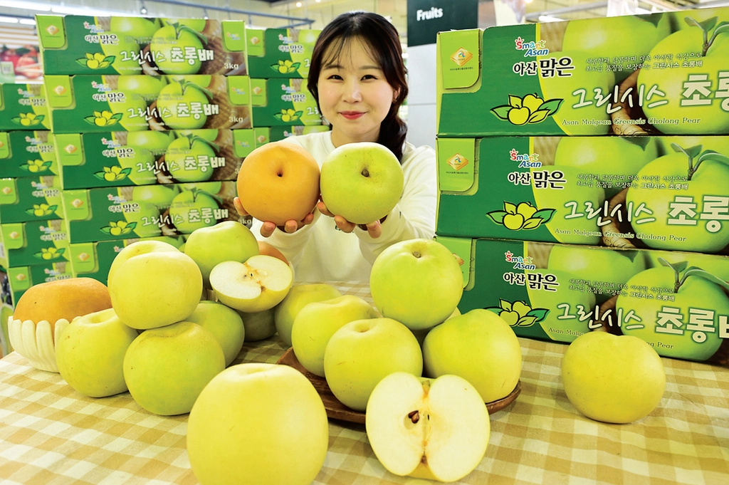 한국산 배가 해외에서 인기를 끌고 있는 이유는 지속적인 품종 개량이다. 농협이 지난 17일 서울의 한 마트에서 신품종 배‘그린시스’를 홍보하고 있다.<연합>