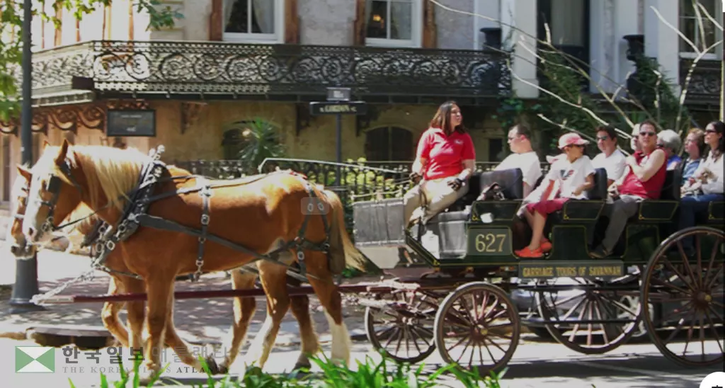 사바나 시의회가 온도가 85도 이상일 때는 마차 투어를 금지하는 조례개정안을 통과시켰다.<사진=사바나닷컴>