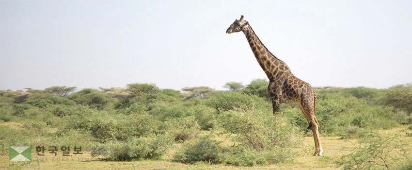 응고롱고로 국립공원