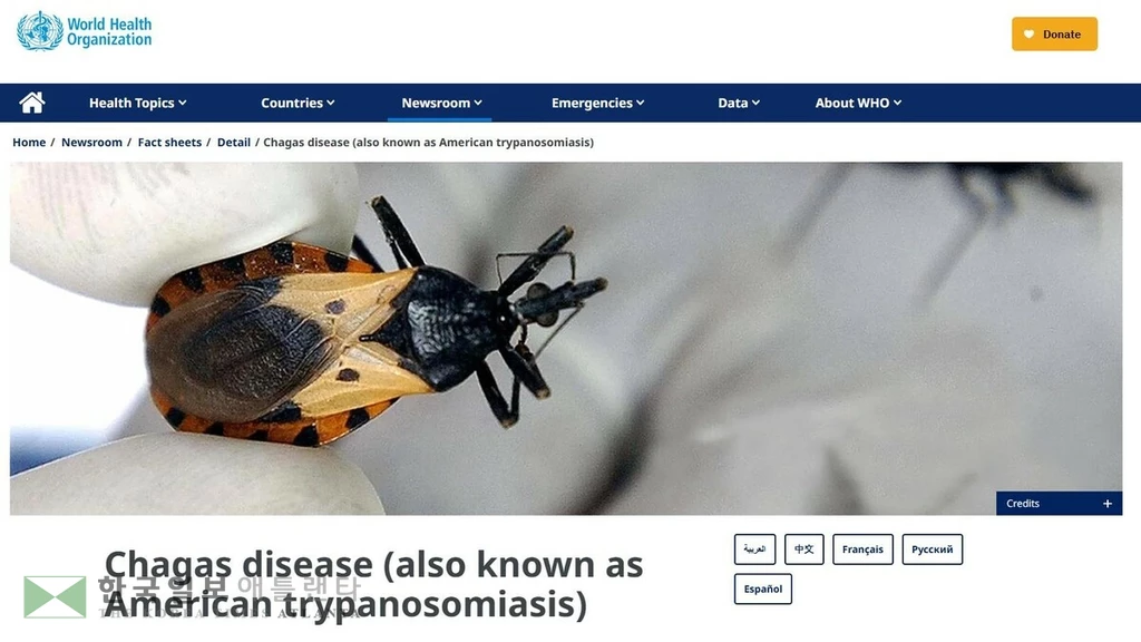 WHO 홈페이지의 샤가스병 설명. 사진은 이 병을 옮기는 흡혈 곤충.[WHO 홈페이지 캡처. 재판매 및 DB 금지]