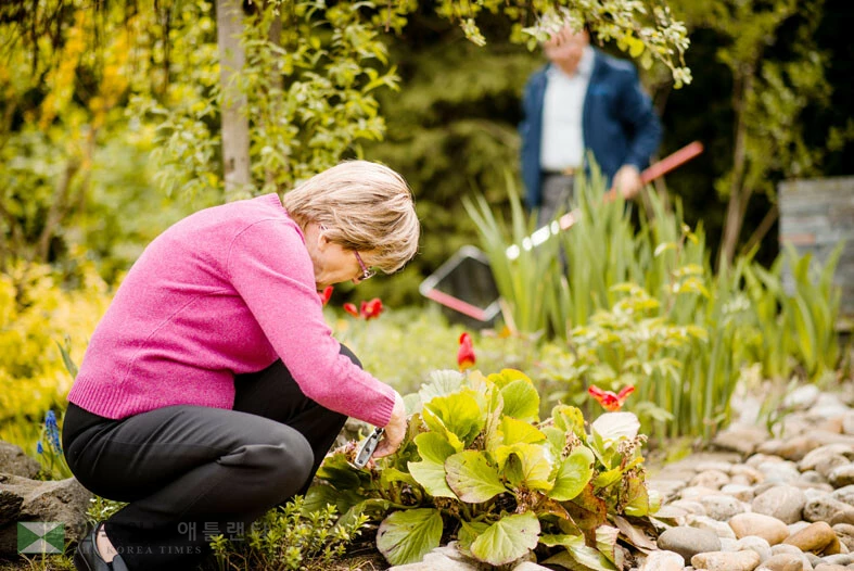 조경에 사용되는 멀치를 잘못 사용하면 나무를 해치고 수천 달러의 손실을 초래할 수 있기 때문에 올바른 사용법을 알아야 한다.<사진=Shutterstock>
