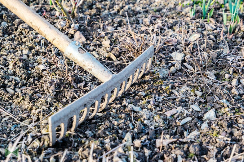 멀치는 나무 줄기 밑 주위는 비우고 나뭇잎이 떨어지는‘드립존’까지 뿌려야 수분이 땅 속에 머물 수 있다.<사진=Shutterstock>