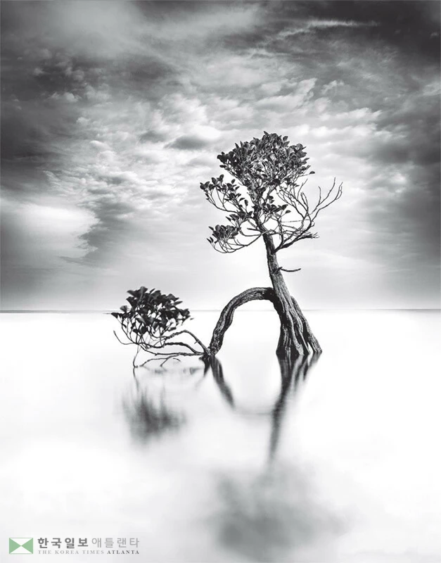  김연동씨의 대상작 ‘바다 물결, 바람결. 그리고 나무의 춤’