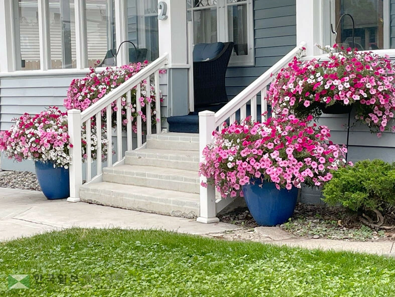 현관문 앞에 파스텔톤 액센트 화분을 두는 방법은 커브 어필에 스타일과 멋을 더하는 쉬운 방법이다.<사진=Shutterstock>