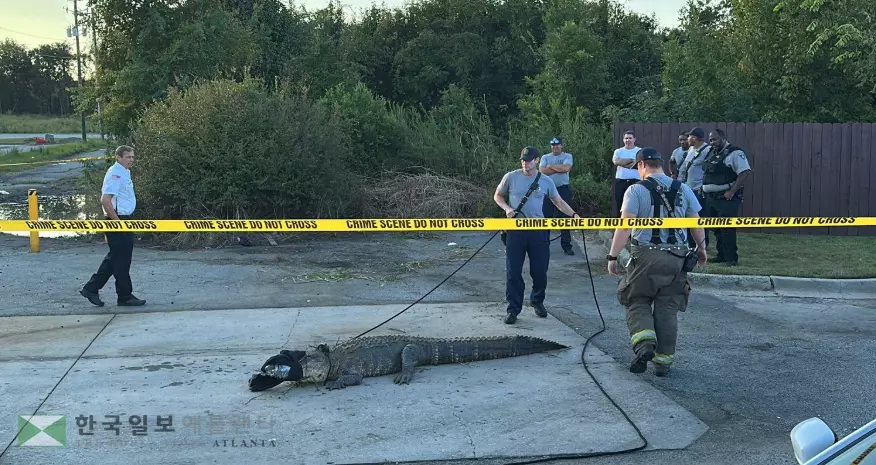 맥도널드 주차장에 악어가 나타나자 출동한 소방대원과 세리프 요원들이 현장을 통제하고 있다.<사진-채널13 WMAZ 제공>