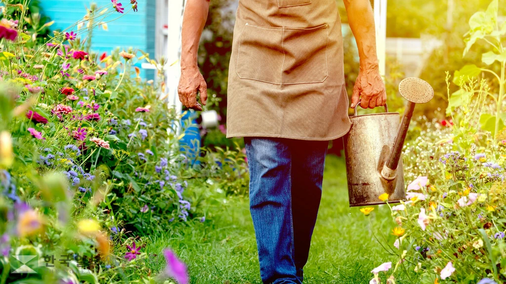길드형 정원은 다양한 식물이 필요하지만, 층층이 자라는 구조로 설계되기 때문에 많은 공간을 필요로 하지 않는다.<사진=Shutterstock>