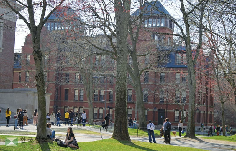  캠퍼스 투어 가이드는 대부분 대학에 재학 중인 자원 학생들로 이뤄진다. 재학생 투어 가이드와의 가벼운 대화를 통해 관심있는 대학에 대해 보다 자세히 파악할 수 있다. [로이터]