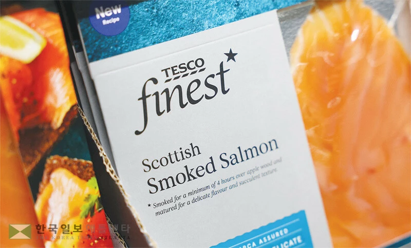  근 해산물 속 미세플라스틱 오염이 급격히 늘고 있다. 대형 어류 대신 송어나 멸치처럼 작은 어류가 섭취에 안전한 것으로 권장된다. 사진은 기사 내용과 직접 관계 없음. [로이터]