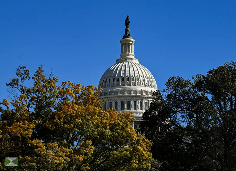  연방의회 의사당 [로이터]