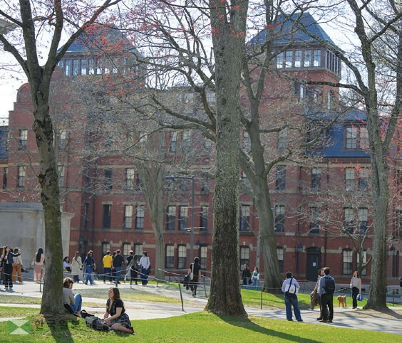  하버드 대학교. [로이터]
