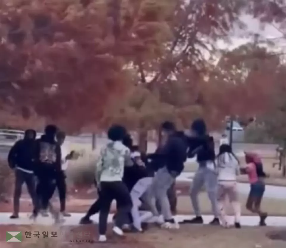 페이스북에 올라온 존스보로 한 공원에서 벌어진 청소년 집단폭행 장면.<사진=페이스북 캡쳐>