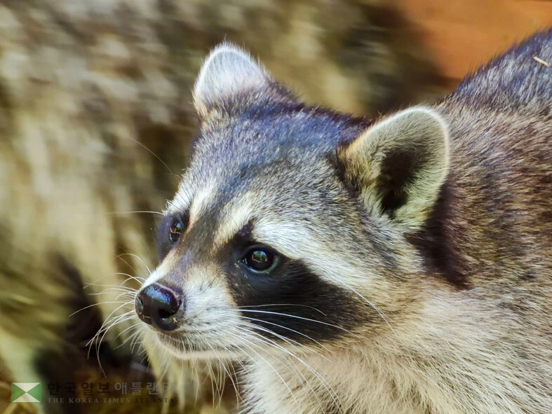 <사진=Shutterstock>