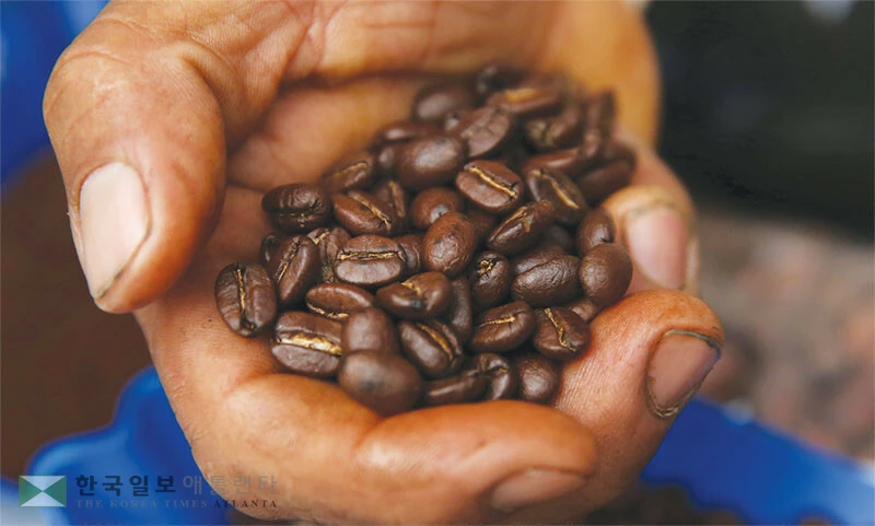  브라질산 커피가 추가 관세 40% 대상에서 제외됐지만 생산국 이상 기후로 공급이 줄면서 당분간 가격 급등이 이어질 전망이다. [로이터]