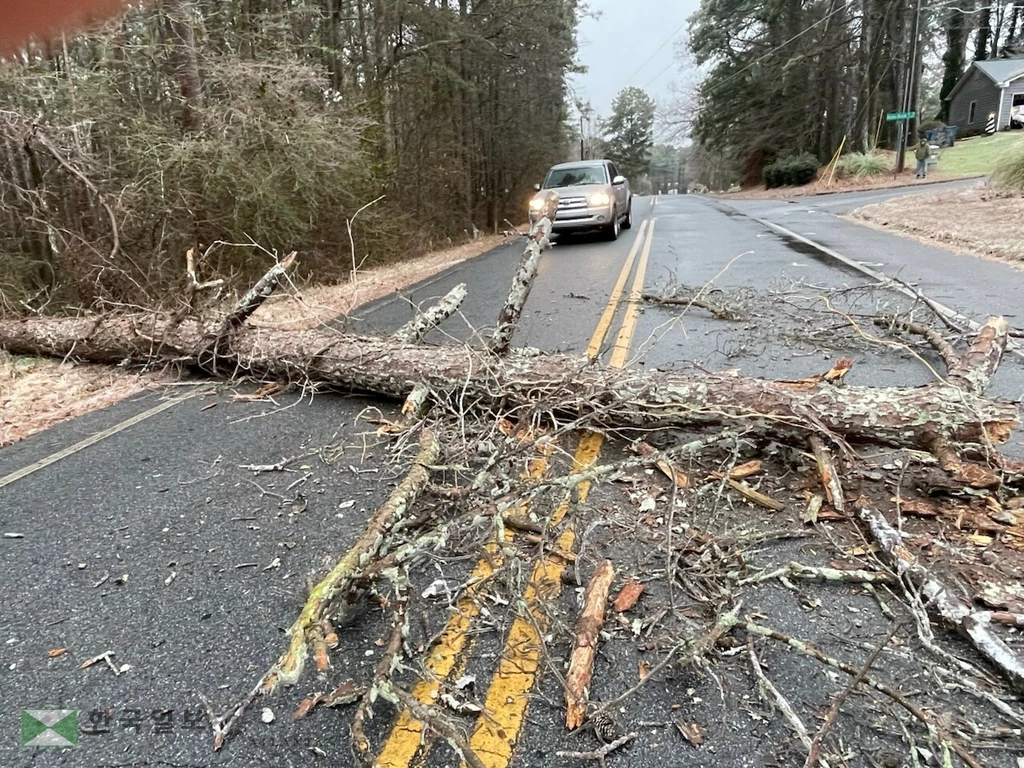 로렌스빌의 허친스 로드와 리지데일 웨이 교차로에서 나무가 도로를 막고 있다<귀넷카운티 페이스북>