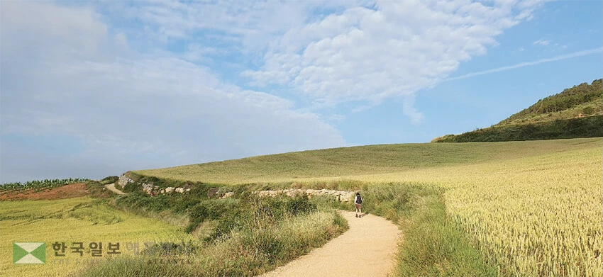 고요하고 평화스러운 순례길.
