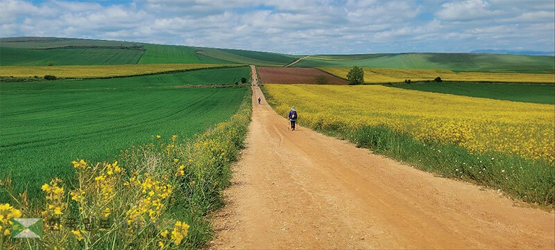 산티아고 순례객들은 끝없이 펼쳐진 메세타 평원의 고독한 길을 걸으며 지난날을 되돌아보는 숭고한 시간을 갖는다.