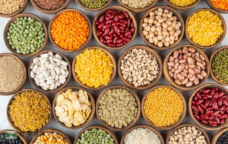 <사진=Shutterstock>