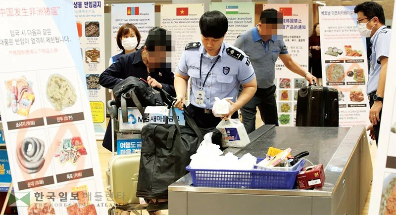  인천국제공항 2터미널 입국장에서 농림축산검역본부와 인천본부세관 직원들이 휴대품 검역을 하는 모습. [연합]