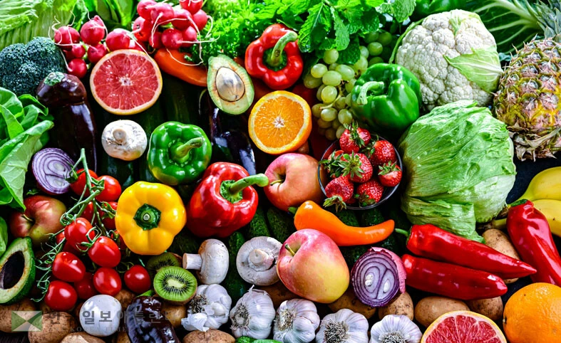 <사진=Shutterstock>