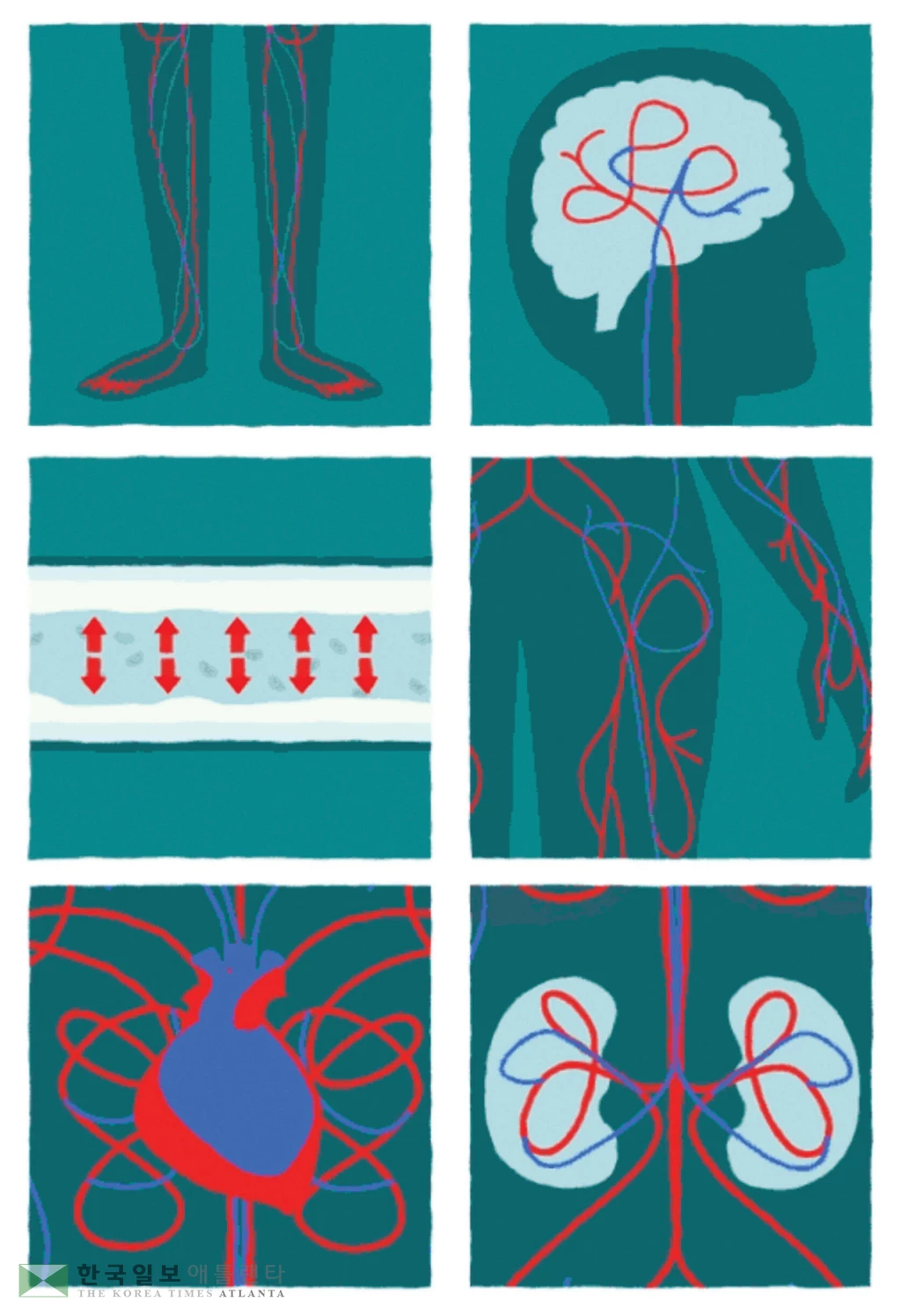 <삽화: Emma Kumer and Daron Taylor/The Washington Post>