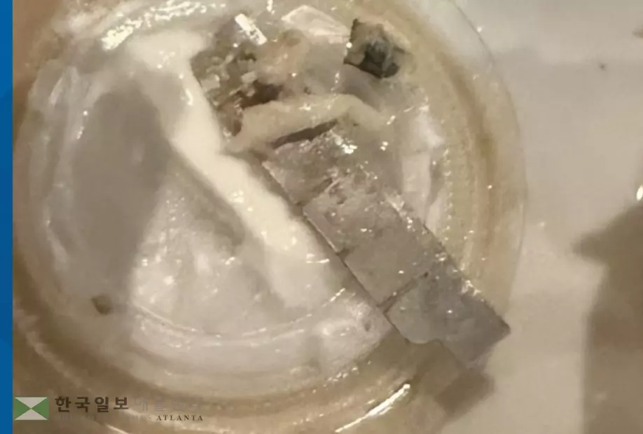 식당 음식 속에 있던 1.5인치 길이의 면도날.<사진=11얼라이브 뉴스=고객 제공>