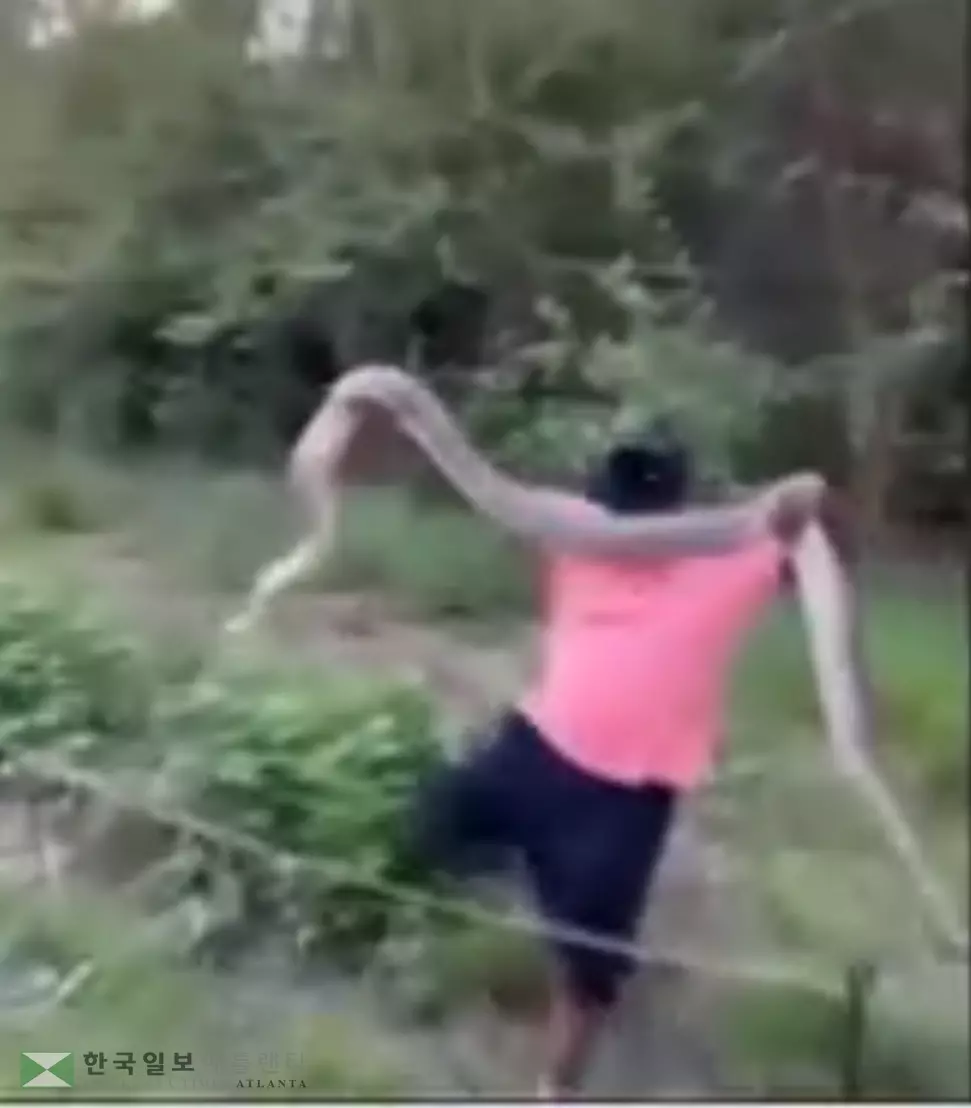 벨트라인 옆 수풀에서 한 남성이 10피트 길이의 뱀을 끌어내고 있다.<사진-=WSB-TV>