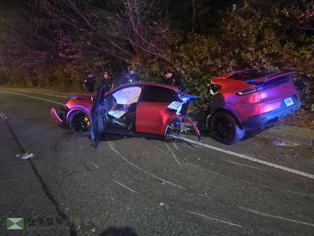 던우디 포르쉐 사고 현장 모습. <사진=던우디 경찰국>