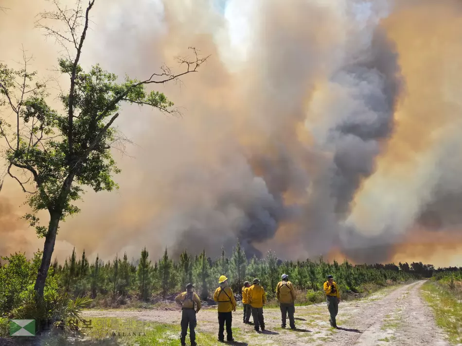 클린치 카운티 파인랜드 로드 인근 산불 현장, 강한 바람으로 산불이 급격하게 확산되면서 22일 오후 기준 3만여 에이커가 피해를 입었다.<조지아 산림청>