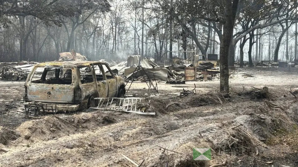 브랜틀리 카운티 82번 고속도로 산불 피해 모습.<조지아 산림청>