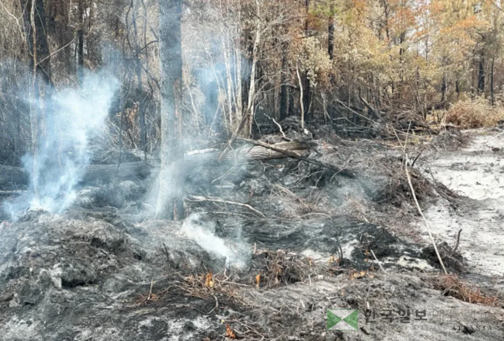 브랜틀리 카운티 82번 고속도로 산불 피해 현장. 데이터 센터 건립을 위한 의도된 산불이라는 음모론이 확산되고 있다.<조지아 산림청>