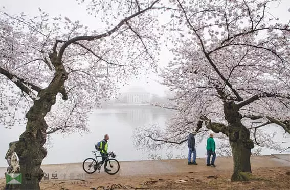 <사진>  꽃의 향연은 시작되고…