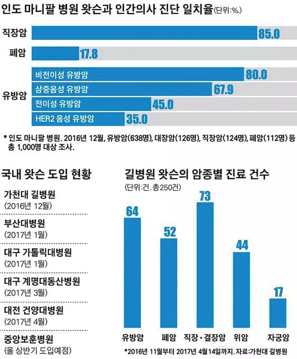 AI‘왓슨’암치료 족집게라는데… 이것이 궁금하다