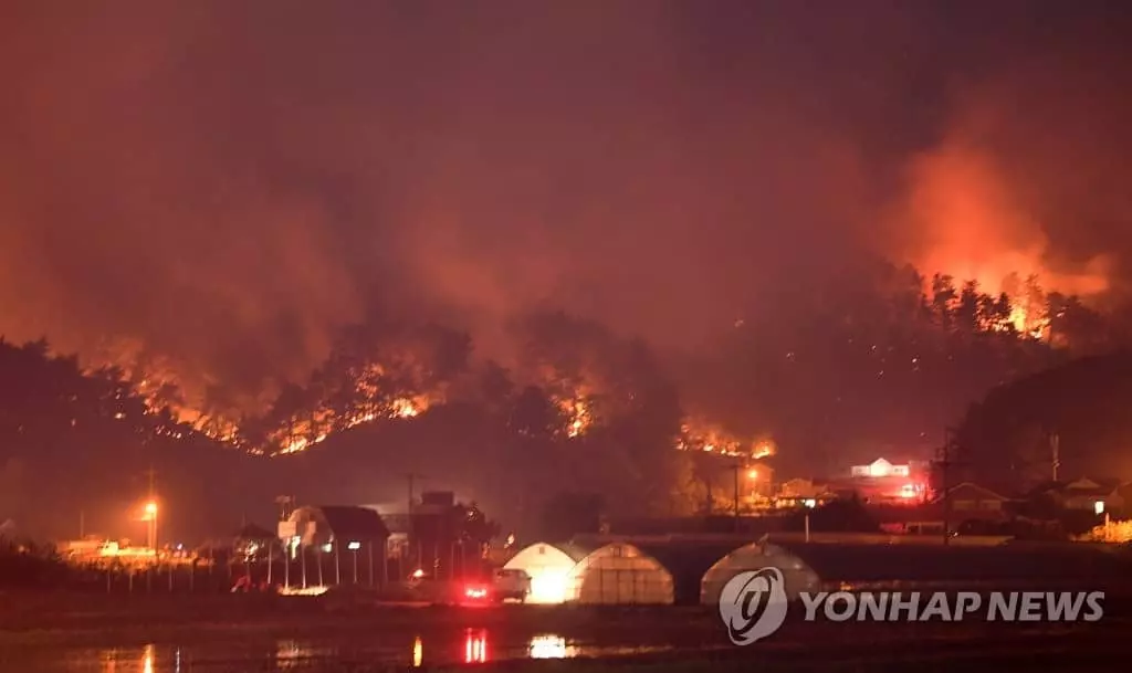 <사진>꺼지지 않은 강릉 산불