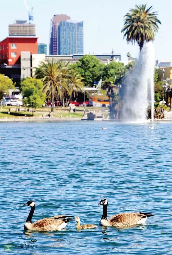 <사진>여름 같은 여름… 100도 더위 온다