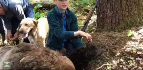 11살 소년이 산탄총으로 곰 잡아