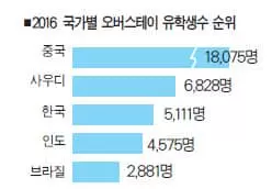 유학생 오버스테이 집중추적 나선다