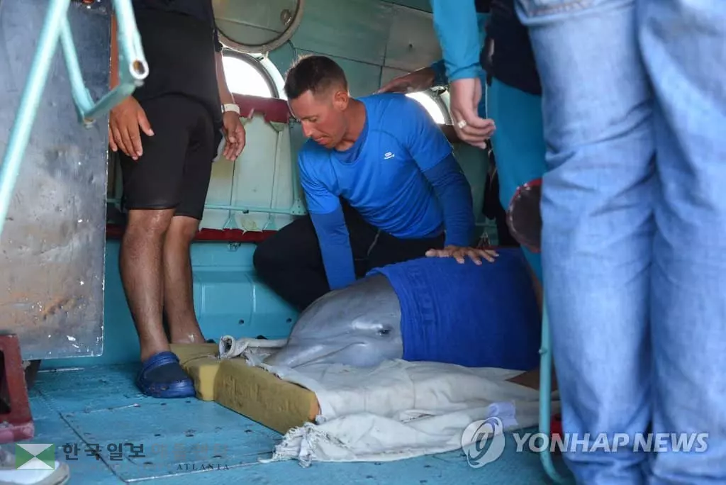 "돌고래도 무서워요" 동물들도 대피작전