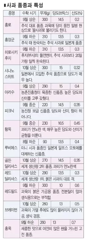 새콤달콤 사과의 계절… 내 입에 맞는 품종은?