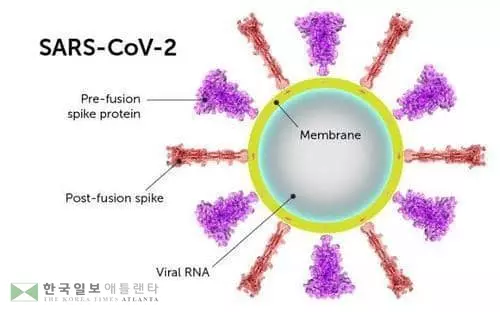 "브라질·남아공 변이, 기존 백신 항체론 어렵다"