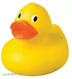 어린이 목욕 때 ‘오리 장난감’, 세균 득실
